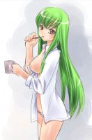 code_geass_-_lanyok_00150.jpg